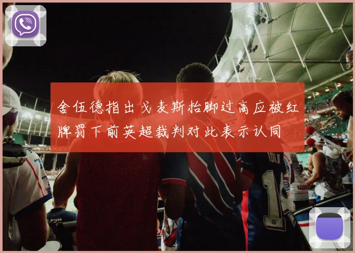 舍伍德指出戈麦斯抬脚过高应被红牌罚下前英超裁判对此表示认同